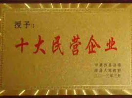 十大民營企業